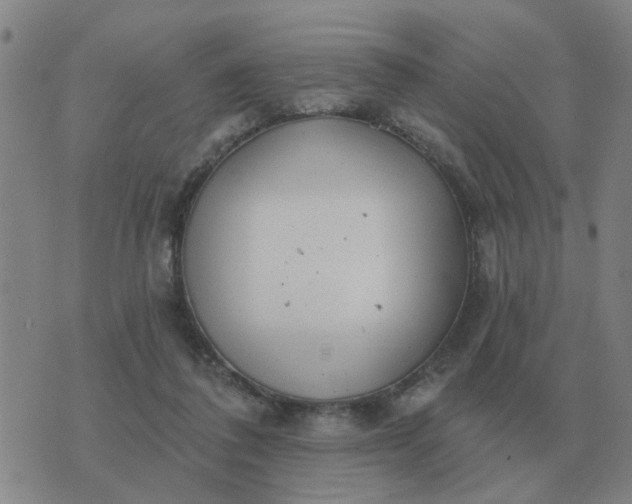 X0000074340308200609082104