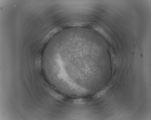 X0000074340309200609082104