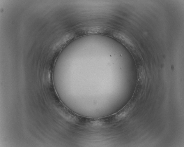 X0000074340310200609082104