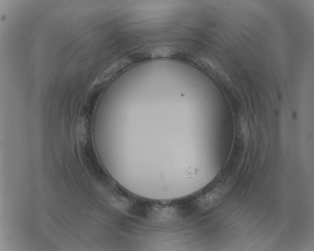 X0000074340311200609082104