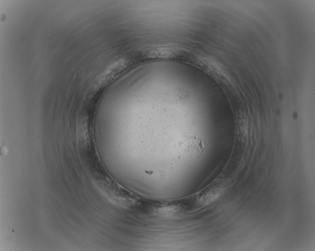 X0000074340312200609082104