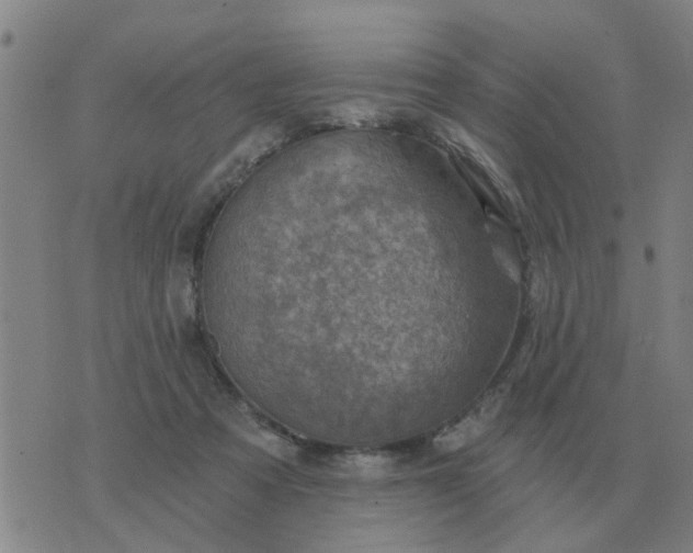 X0000074340313200609082104