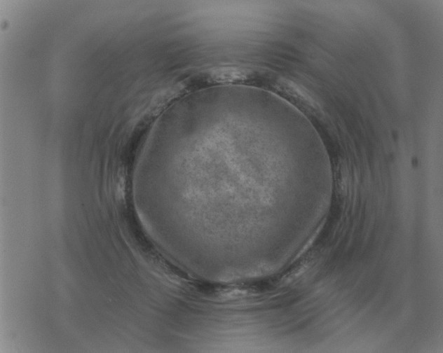 X0000074340315200609082104