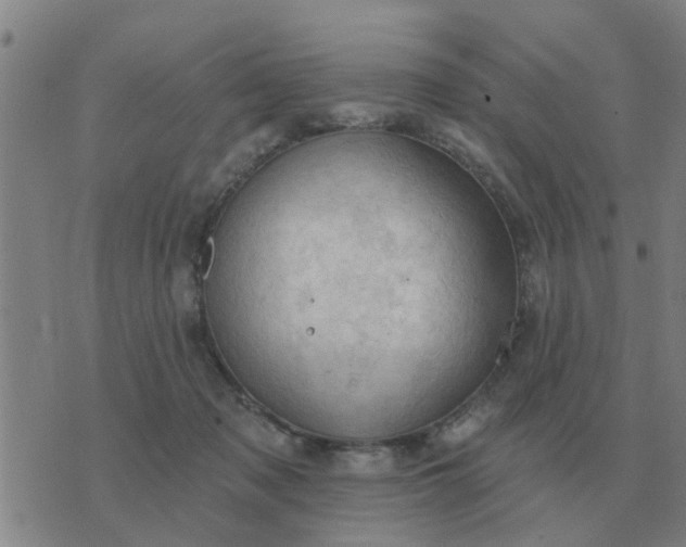 X0000074340317200609082104