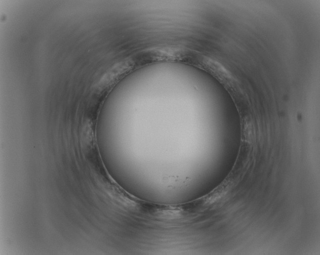 X0000074340318200609082104