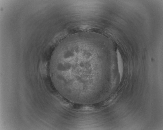 X0000074340319200609082104