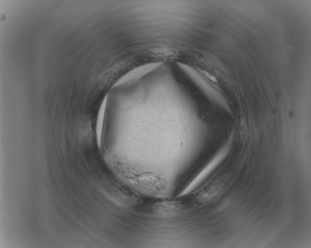 X0000074340320200609082104