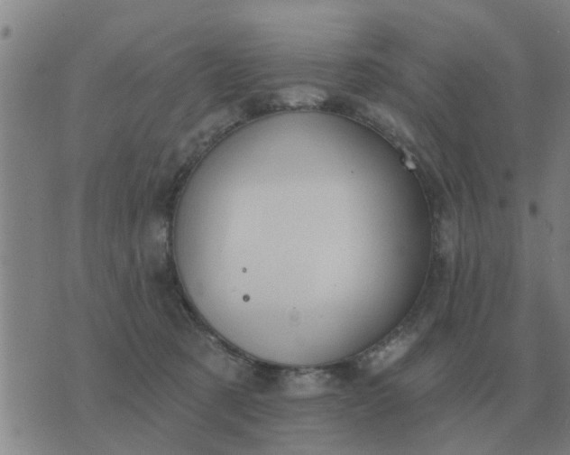 X0000074340321200609082104