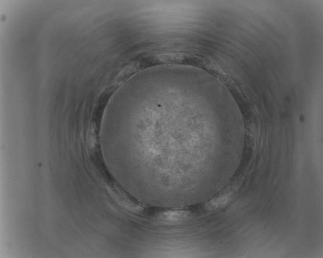 X0000074340323200609082103