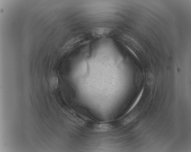 X0000074340324200609082103