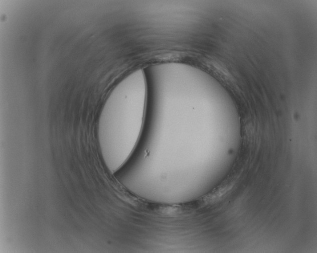 X0000074340325200609082103