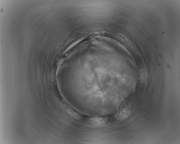 X0000074340326200609082103