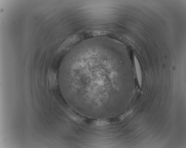 X0000074340327200609082103