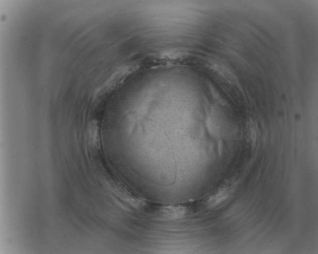 X0000074340328200609082103