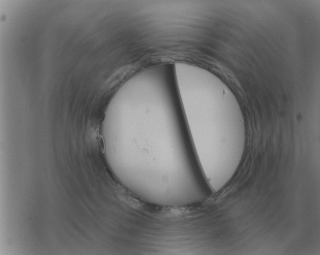 X0000074340329200609082103