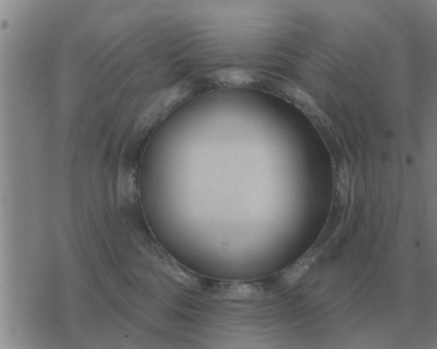 X0000074340330200609082103