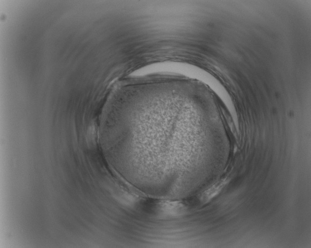 X0000074340333200609082103