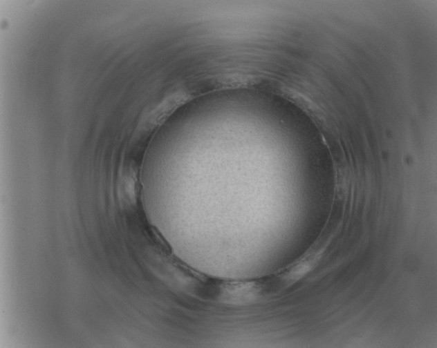 X0000074340334200609082103