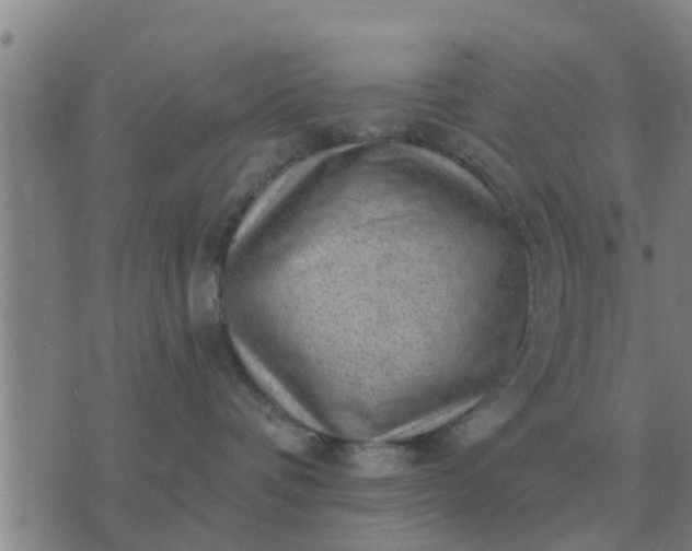 X0000074340336200609082103