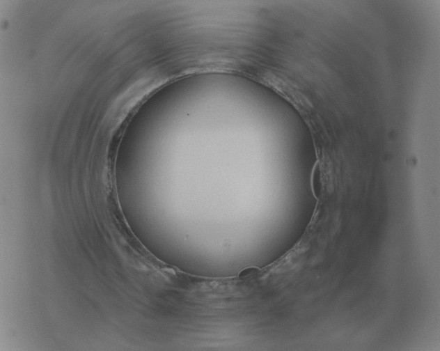 X0000074340338200609082103