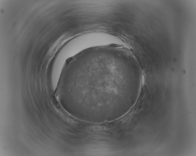 X0000074340339200609082103