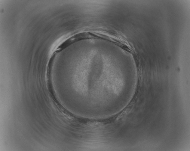 X0000074340340200609082103