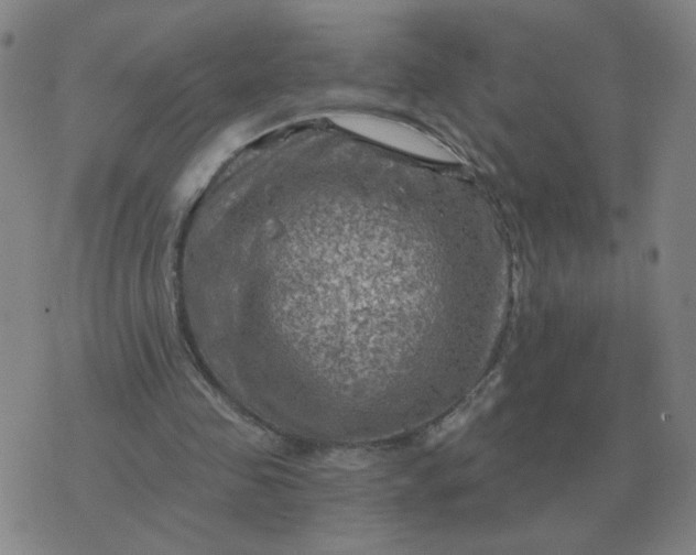 X0000074340341200609082103