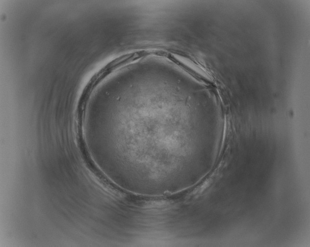 X0000074340342200609082103