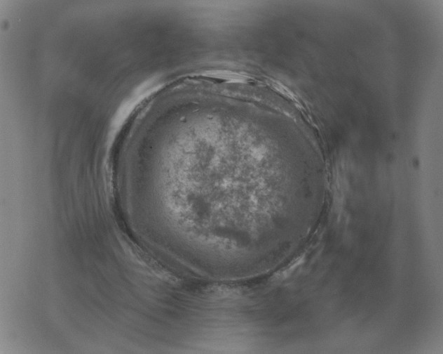 X0000074340343200609082103