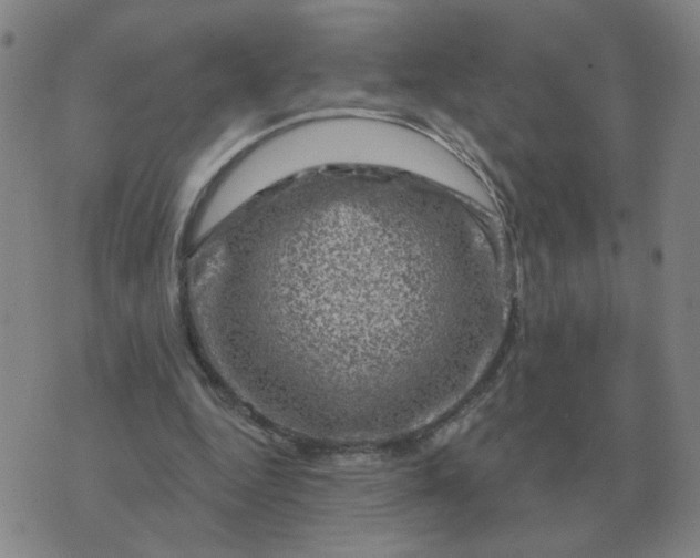 X0000074340344200609082103