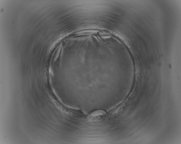 X0000074340345200609082103