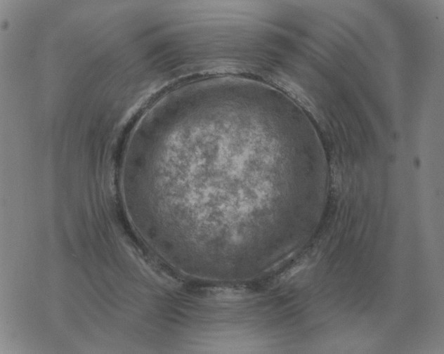 X0000074340347200609082103