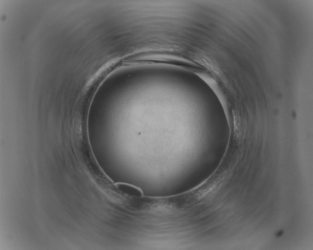 X0000074340348200609082103