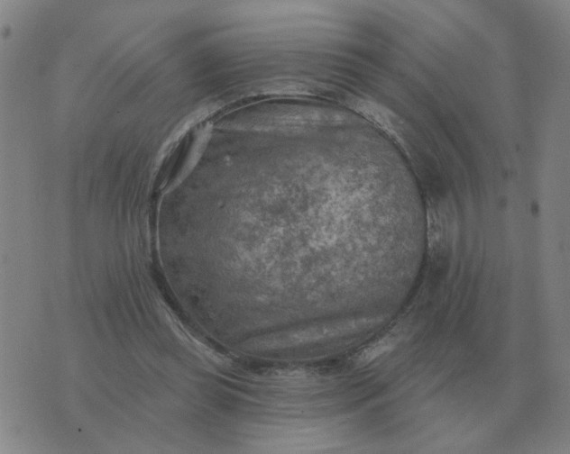 X0000074340349200609082103