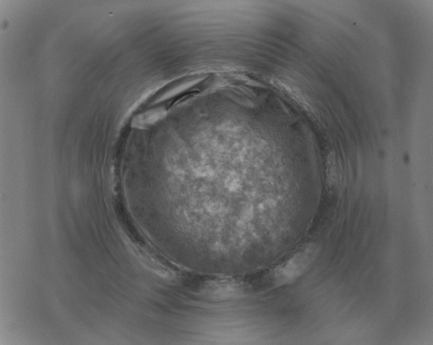 X0000074340351200609082103