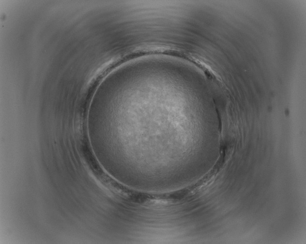 X0000074340352200609082103