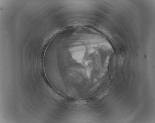 X0000074340353200609082103