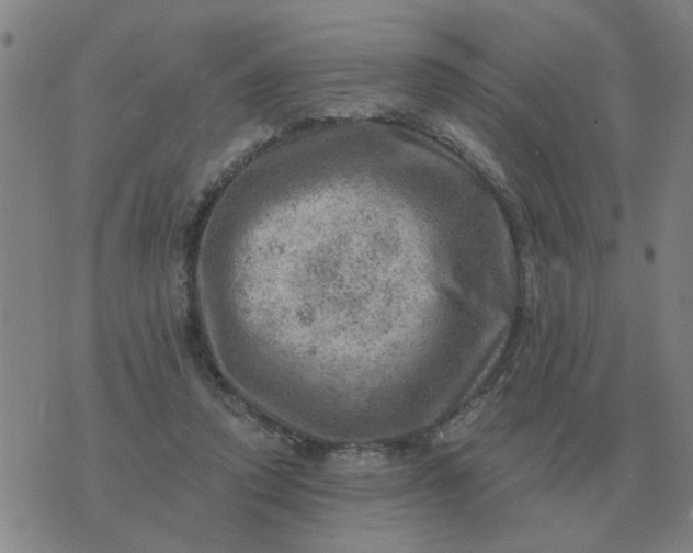 X0000074340354200609082103