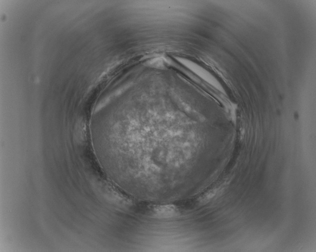 X0000074340355200609082103