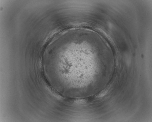 X0000074340357200609082103