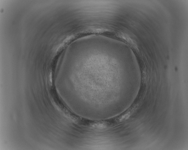 X0000074340358200609082103