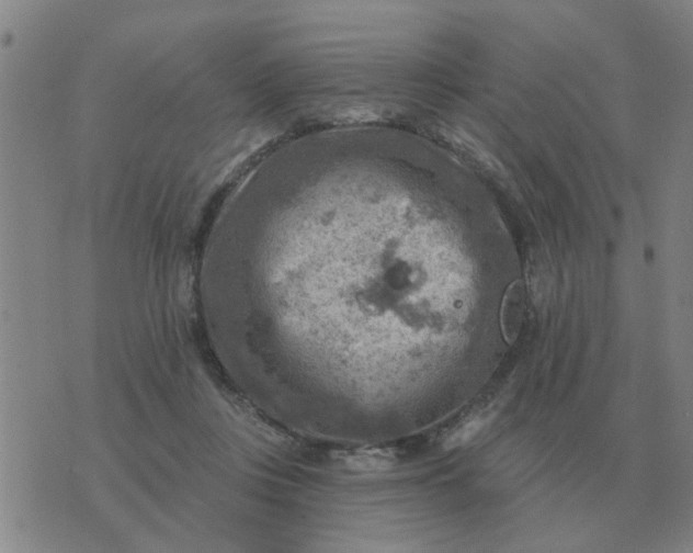 X0000074340359200609082103