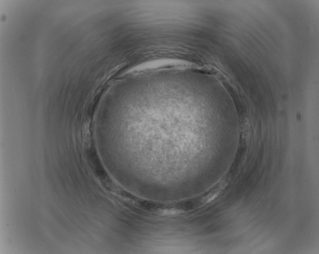 X0000074340360200609082103