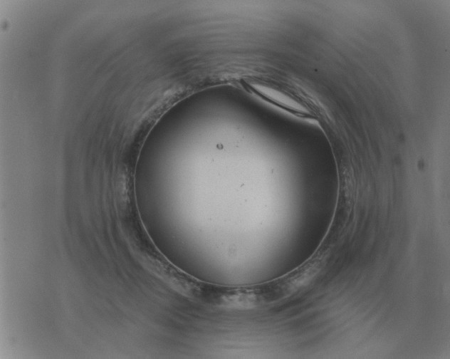 X0000074340362200609082103