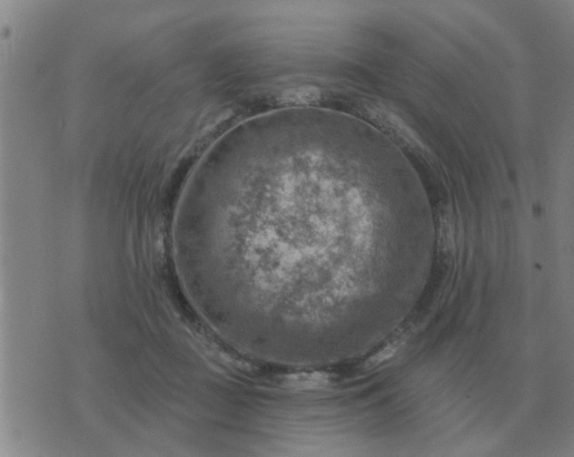 X0000074340363200609082103