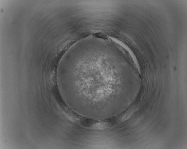 X0000074340364200609082103