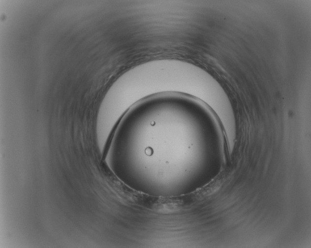 X0000074340368200609082103