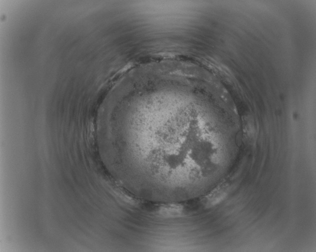 X0000074340369200609082103