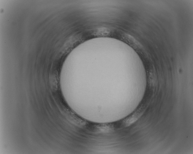 X0000074340370200609082103