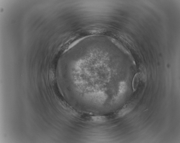 X0000074340371200609082103